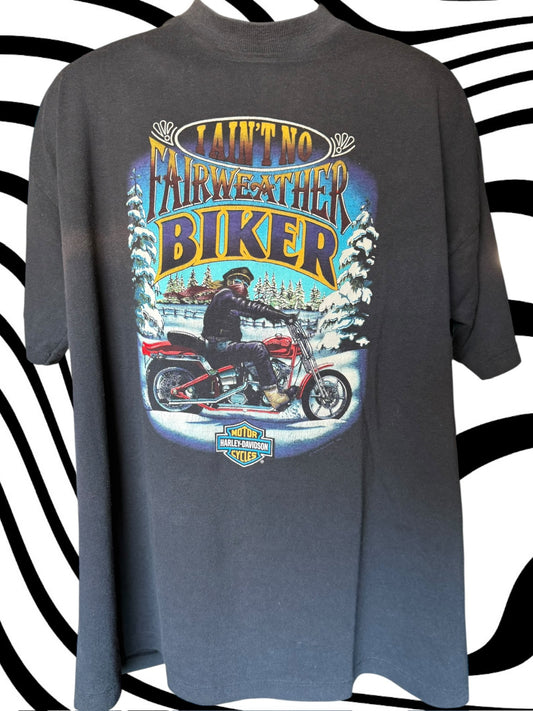 90's Neenah, WI Harley tee