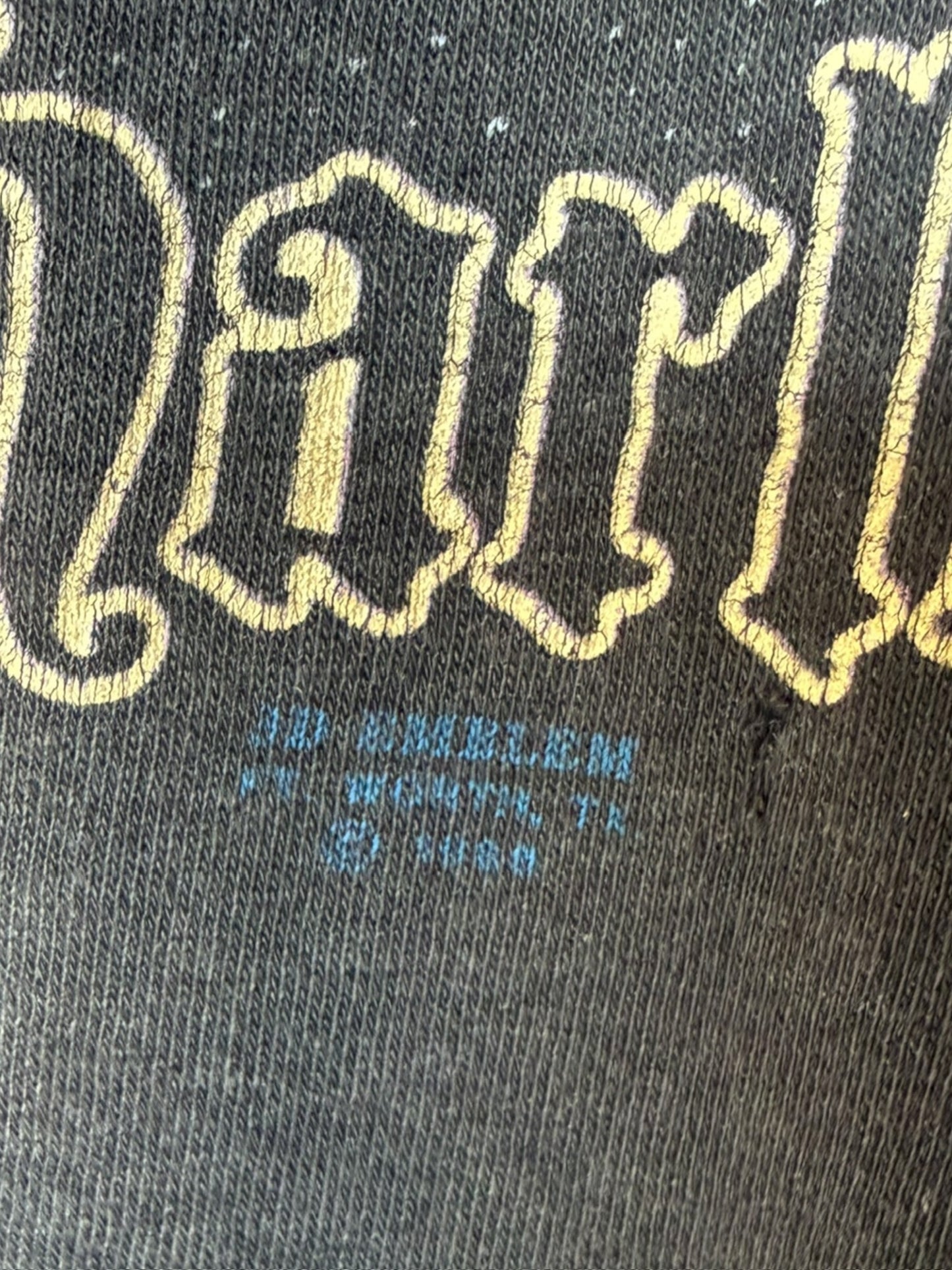 80's 3D Emblem 'Last Biker On Earth' Arizona Harley Tee