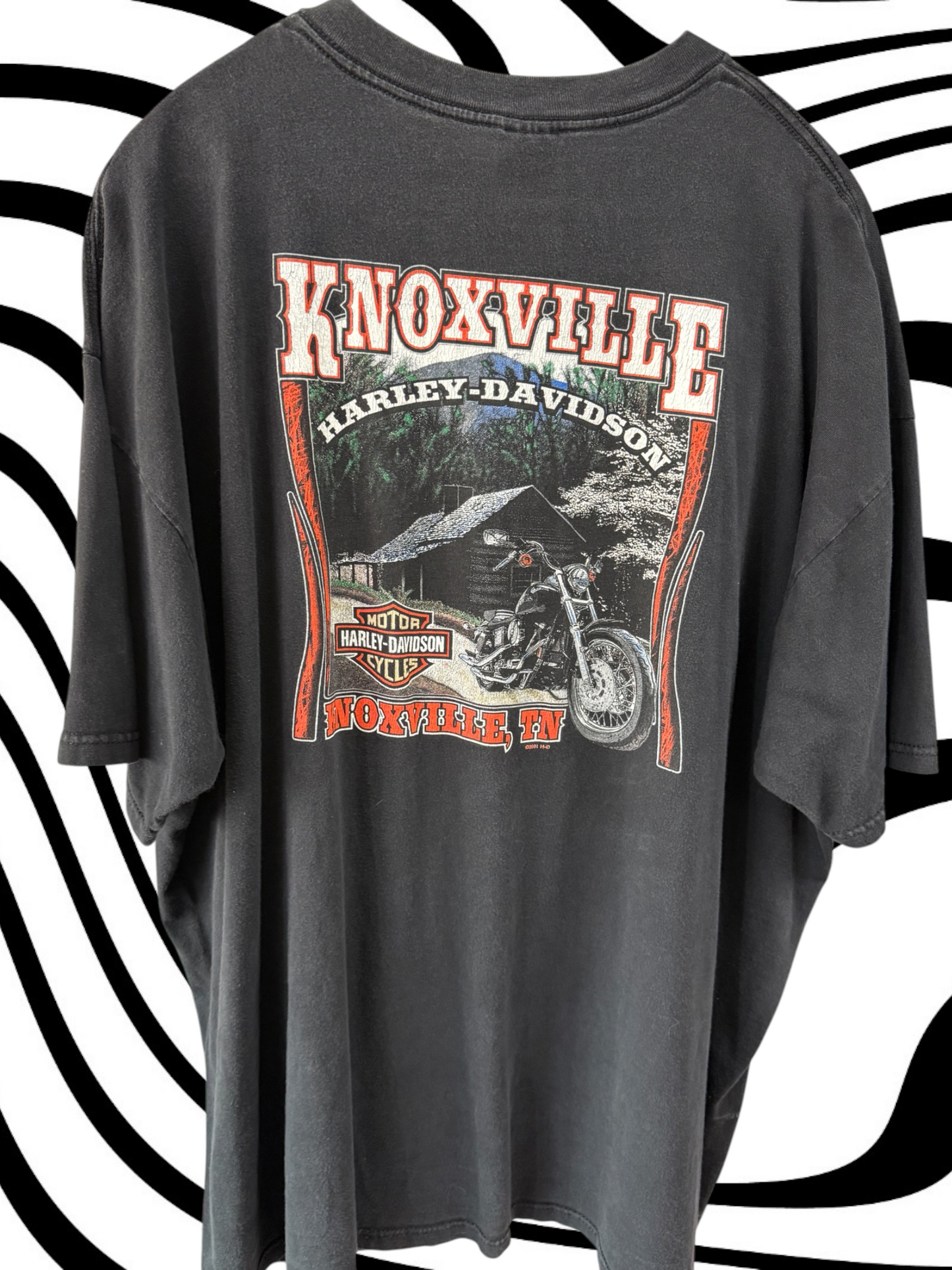 2001 Knoxville, TN Flaming Eagle Harley tee